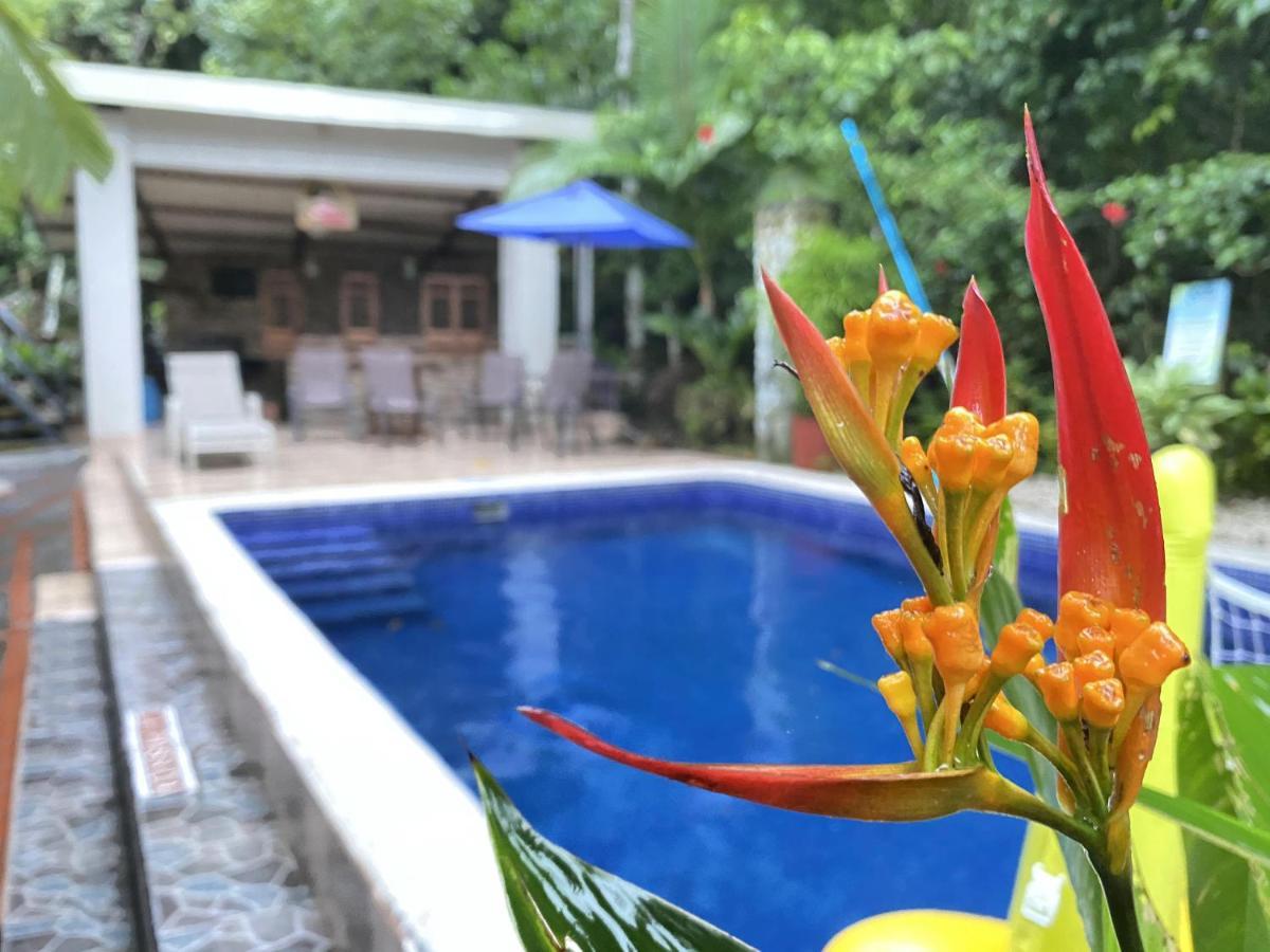La Posada Jungle Hotel Manuel Antonio Zewnętrze zdjęcie