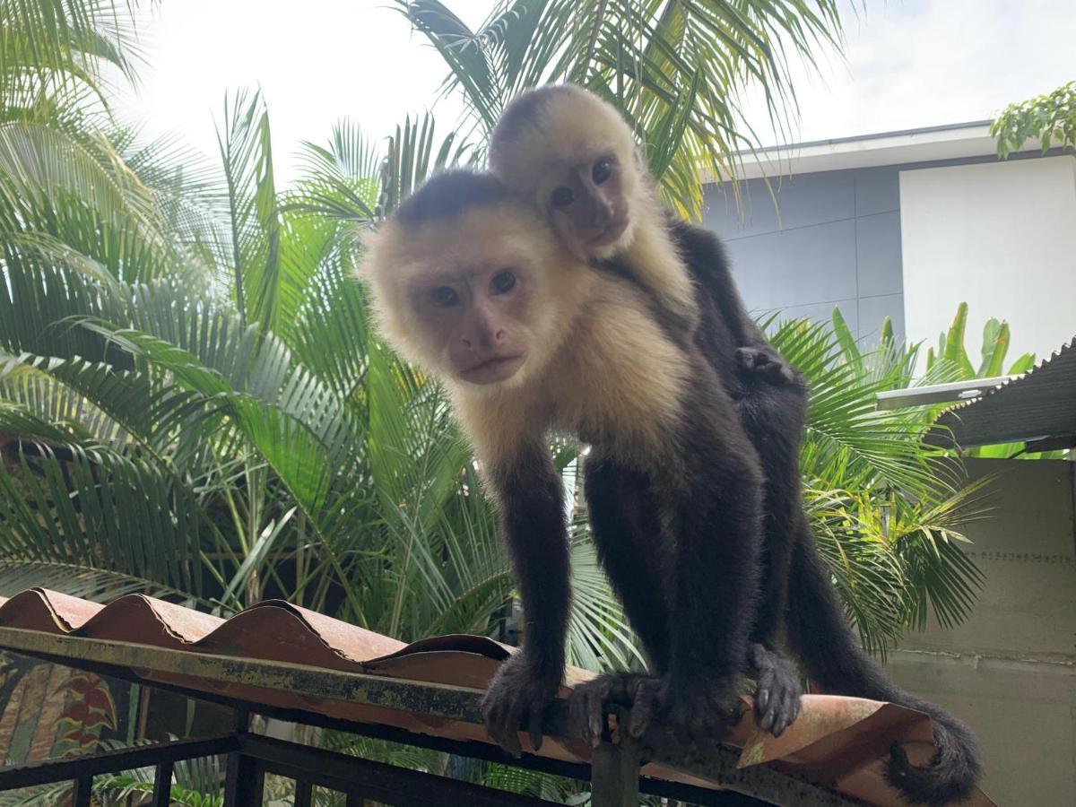 La Posada Jungle Hotel Manuel Antonio Zewnętrze zdjęcie