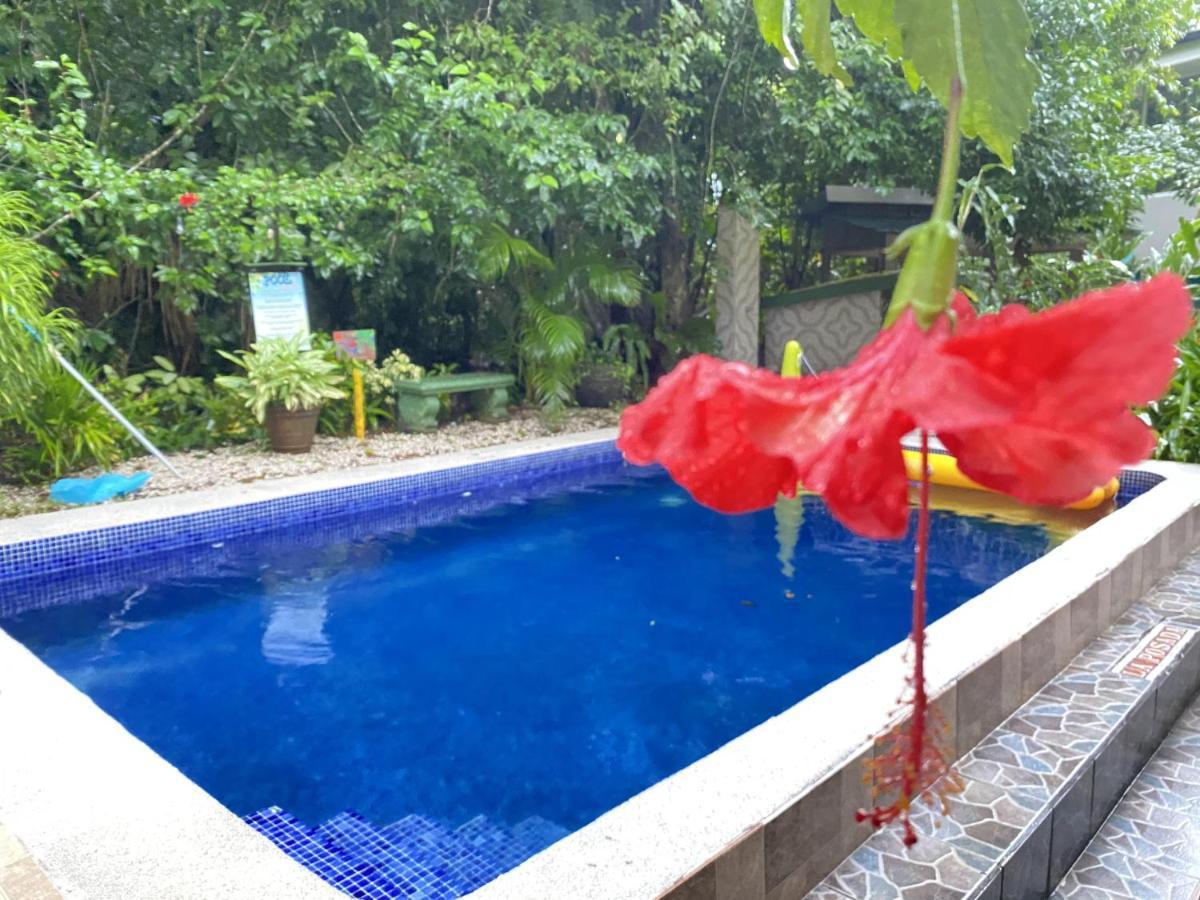 La Posada Jungle Hotel Manuel Antonio Zewnętrze zdjęcie