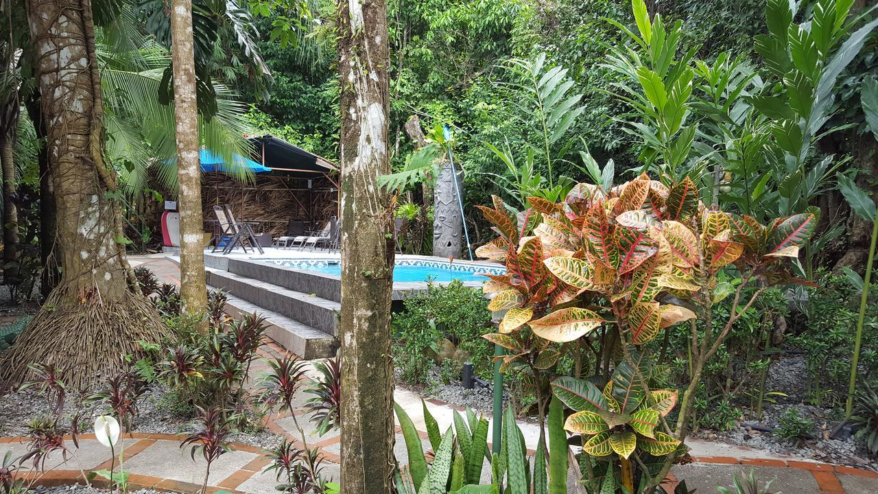La Posada Jungle Hotel Manuel Antonio Zewnętrze zdjęcie