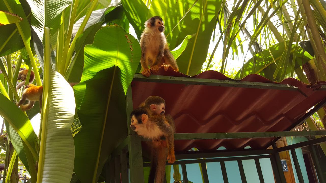 La Posada Jungle Hotel Manuel Antonio Zewnętrze zdjęcie