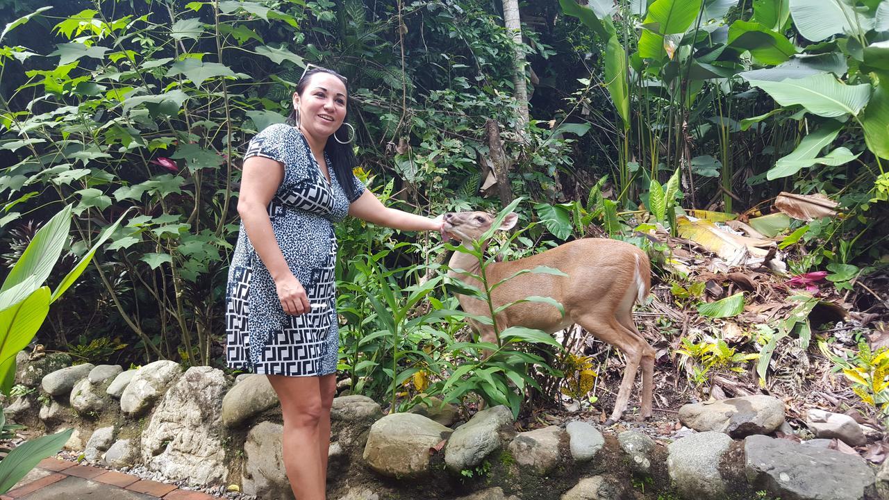 La Posada Jungle Hotel Manuel Antonio Zewnętrze zdjęcie